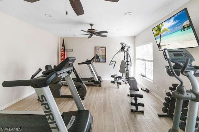 workout area featuring ceiling fan and light hardwood / wood-style flooring