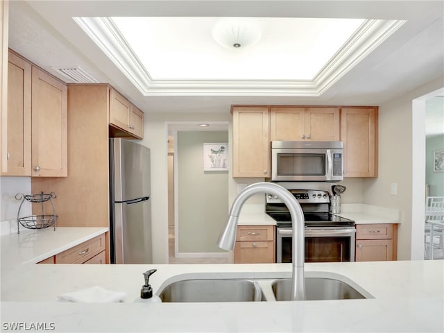 kitchen with light brown cabinetry, sink, a raised ceiling, and stainless steel appliances