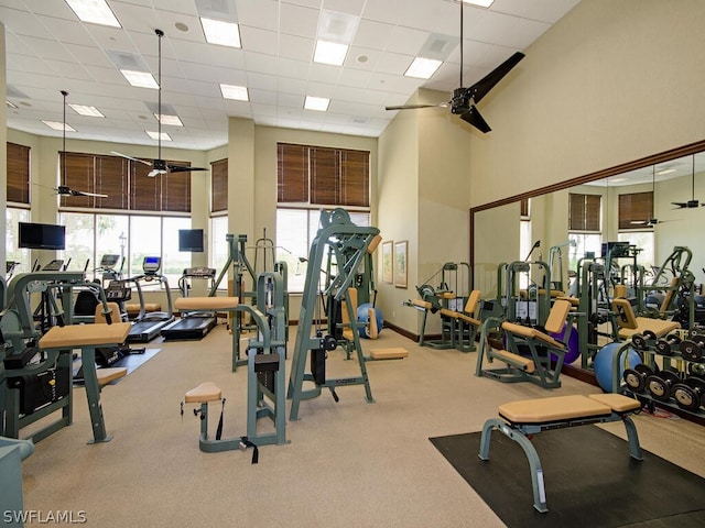 gym with a paneled ceiling, ceiling fan, light colored carpet, and a high ceiling