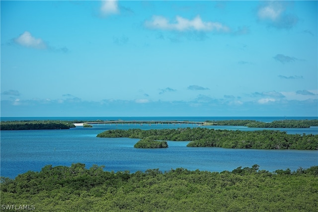 property view of water