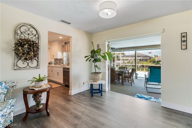 interior space featuring sink and hardwood / wood-style floors