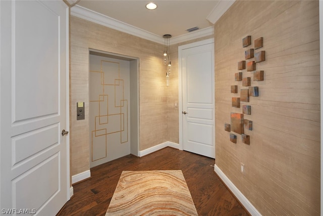 hall featuring dark wood-type flooring and ornamental molding