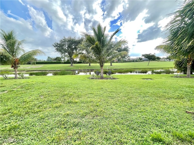 view of yard featuring a water view