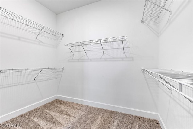 12445 Basalt Ln, Alva, FL 33982 - spacious closet with carpet flooring