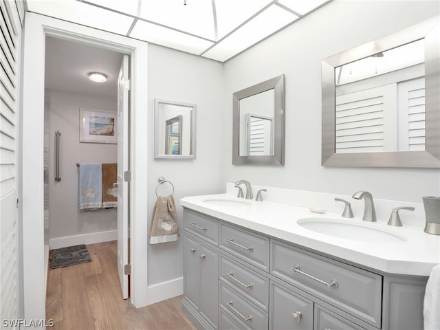 bathroom featuring dual sinks, hardwood / wood-style floors, and vanity with extensive cabinet space