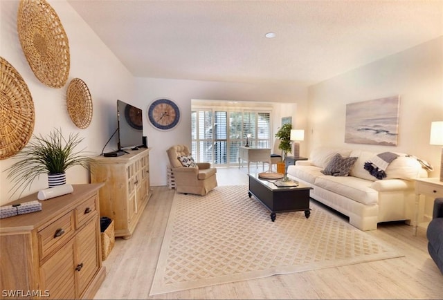 living room featuring light hardwood / wood-style floors