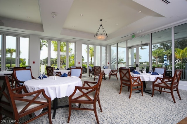 interior space featuring a raised ceiling