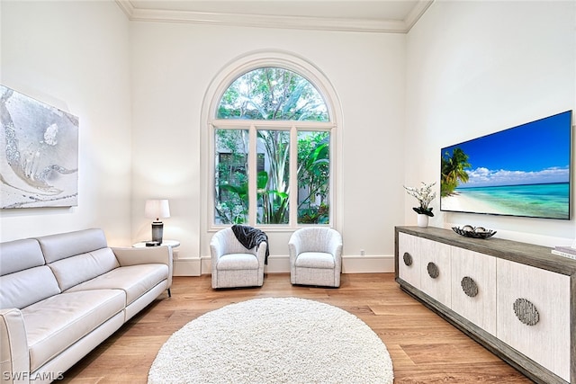 living room with crown molding and light wood-type flooring