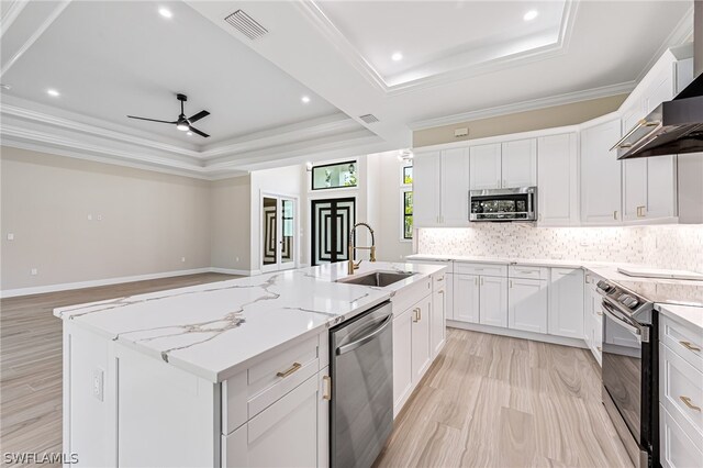 kitchen with a tray ceiling, a kitchen island with sink, light wood-type flooring, appliances with stainless steel finishes, and sink