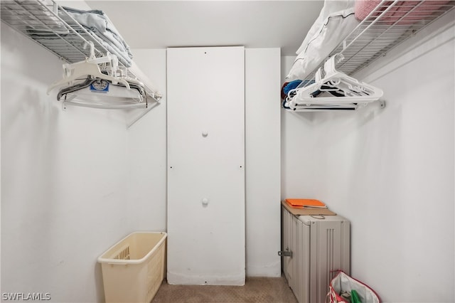 spacious closet with radiator heating unit and light carpet