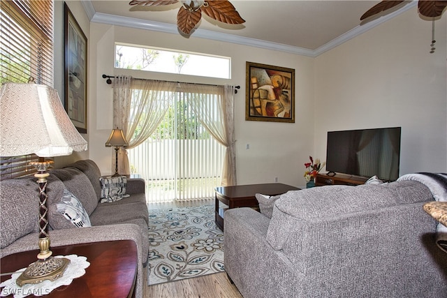 living room with ornamental molding, ceiling fan, and light wood-type flooring