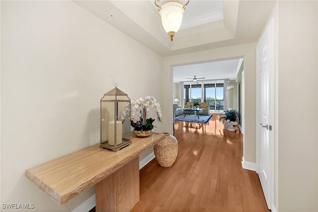 hallway featuring a tray ceiling, wood finished floors, and baseboards