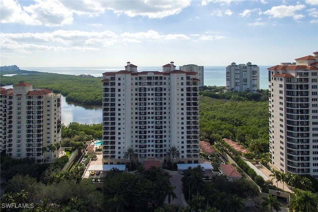 drone / aerial view with a water view