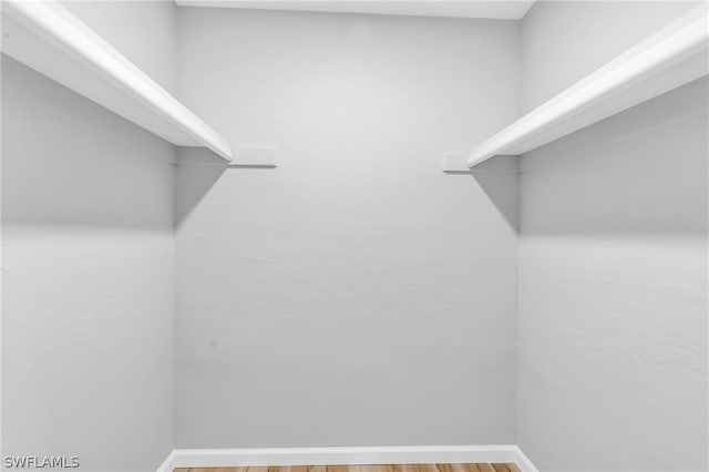 walk in closet with wood-type flooring