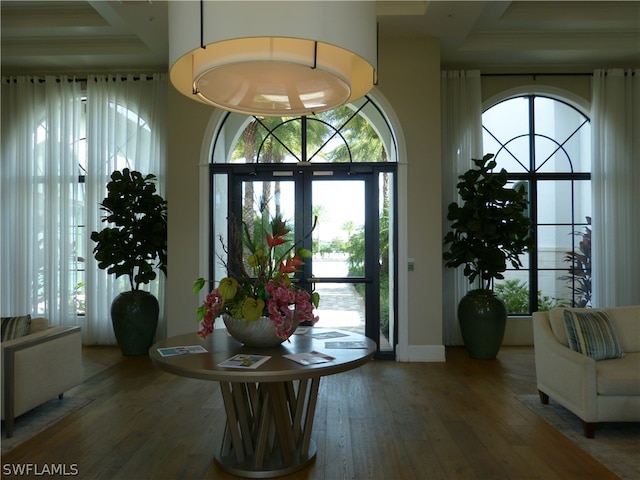 foyer with a tray ceiling and hardwood / wood-style flooring