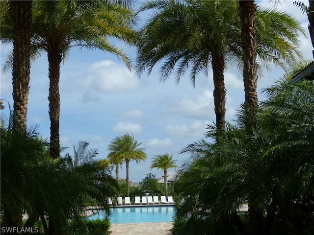 view of water feature