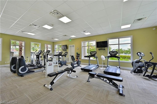 workout area with a paneled ceiling, light colored carpet, and a wealth of natural light