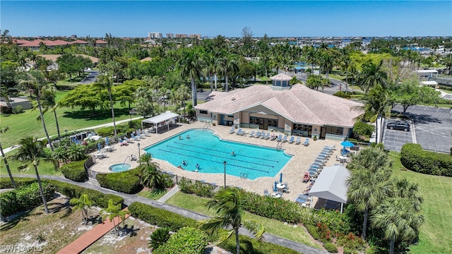 view of pool featuring a patio