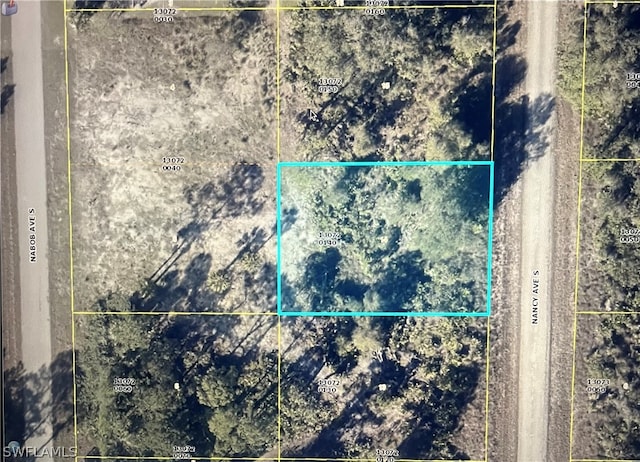 238 Nancy Ave S, Lehigh Acres FL, 33974 land for sale