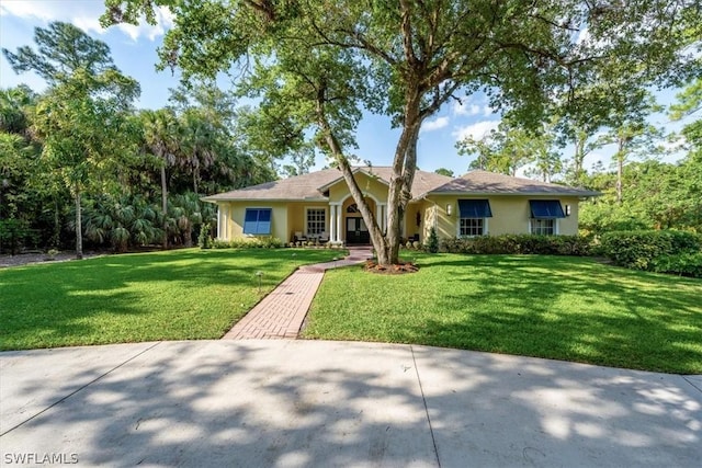 ranch-style house with a front yard