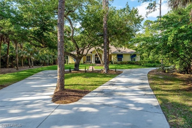 view of home's community with a lawn