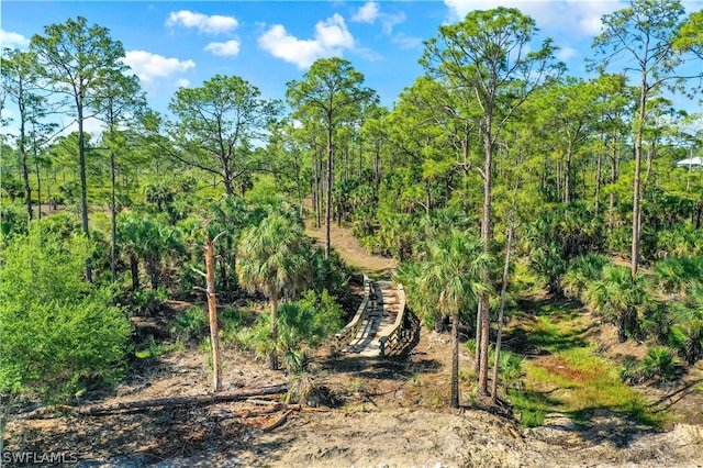 view of nature featuring a wooded view