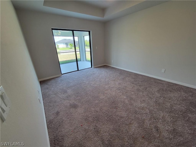 unfurnished room with carpet floors and a raised ceiling