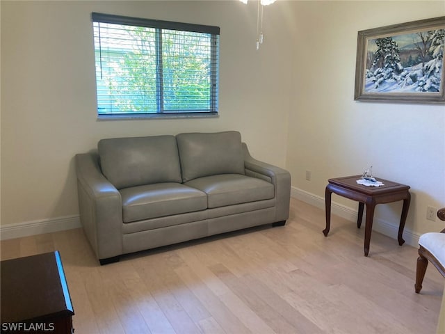 living room with light wood-type flooring