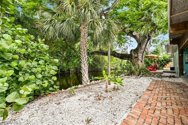 view of yard featuring a patio area