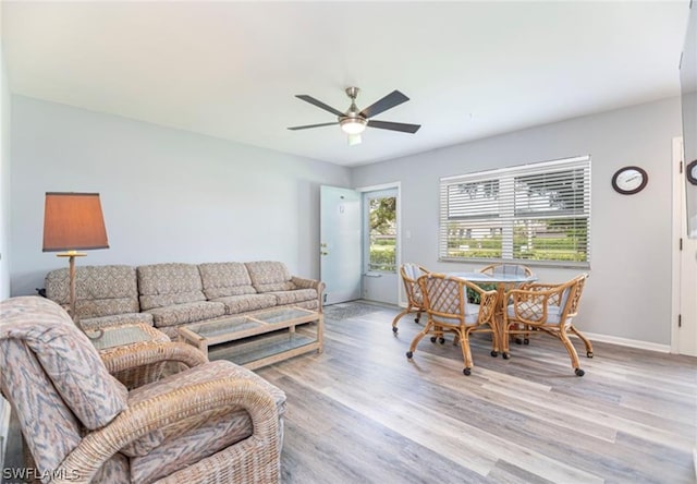 living room with ceiling fan and light wood-type flooring