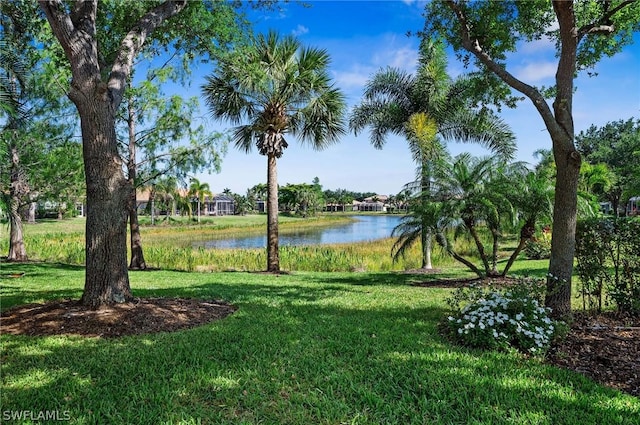 view of yard featuring a water view