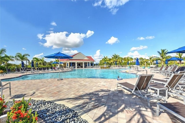 view of swimming pool featuring a patio