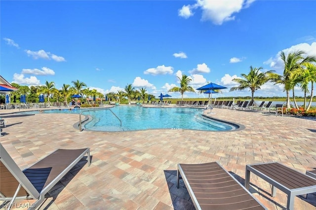 view of swimming pool with a patio area