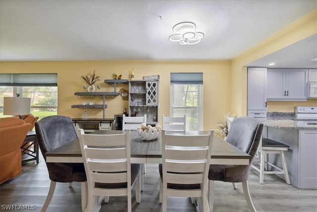 dining room with plenty of natural light and hardwood / wood-style flooring