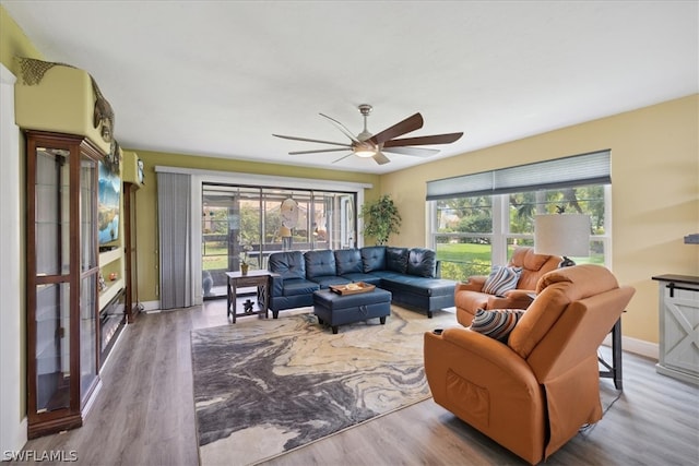 living room featuring ceiling fan and light wood-type flooring