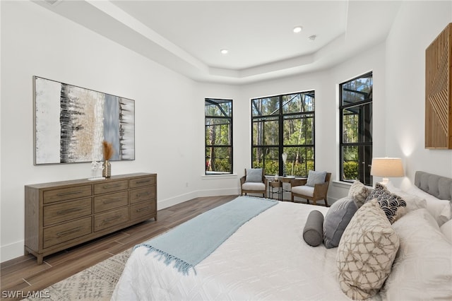 bedroom with a raised ceiling and hardwood / wood-style floors