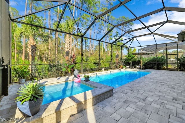 view of swimming pool featuring a lanai and a patio