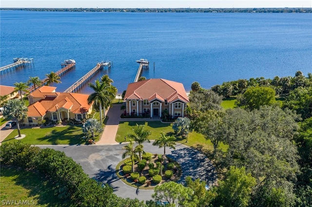 aerial view with a water view