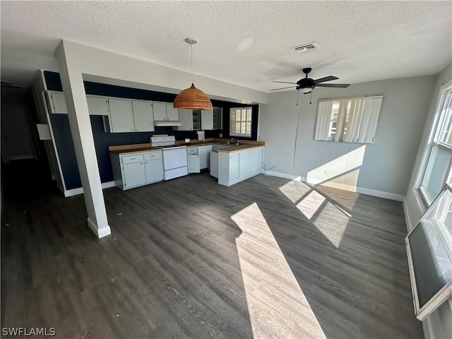 kitchen featuring dark hardwood / wood-style floors, a healthy amount of sunlight, white appliances, and hanging light fixtures