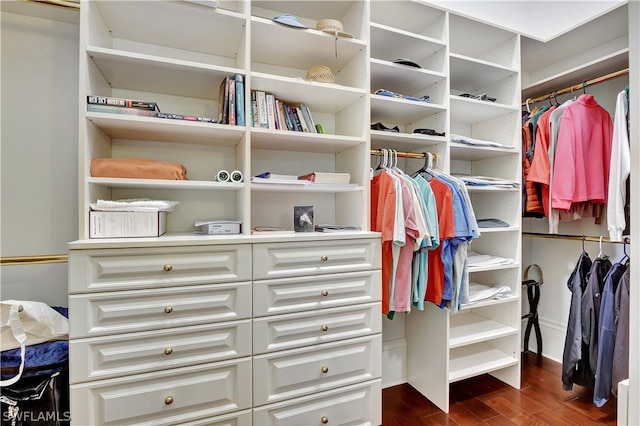 walk in closet featuring dark hardwood / wood-style flooring