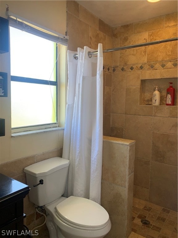 bathroom with walk in shower, a wealth of natural light, vanity, and toilet