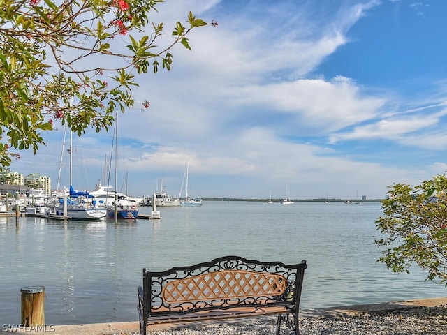 water view with a dock