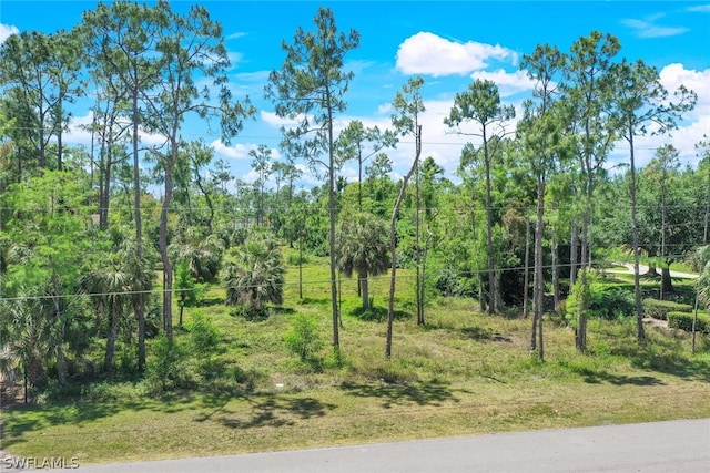 Listing photo 3 for 0 Hunters Rd, Naples FL 34109