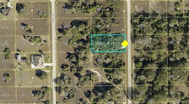 1719 Fitch Ave, Lehigh Acres FL, 33972 land for sale