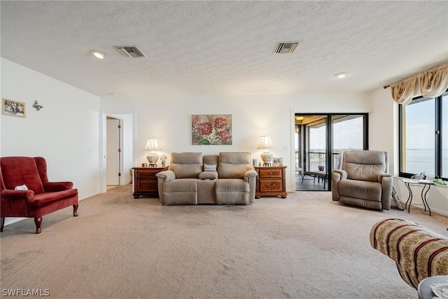 carpeted living room with a textured ceiling