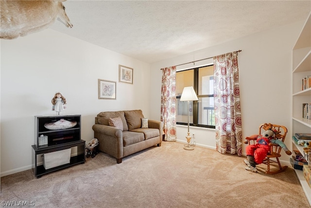 living room featuring carpet and a textured ceiling