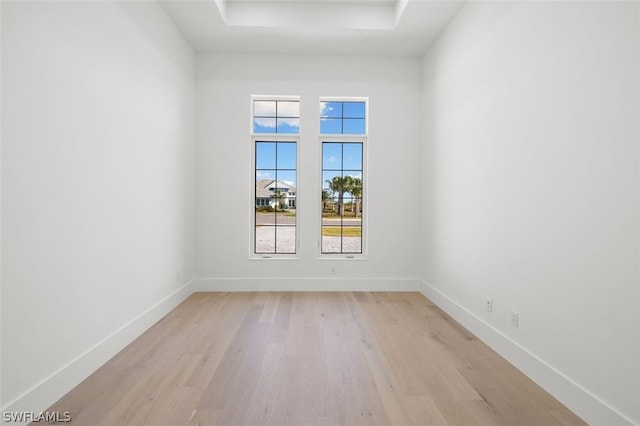 spare room featuring a raised ceiling and light wood-type flooring