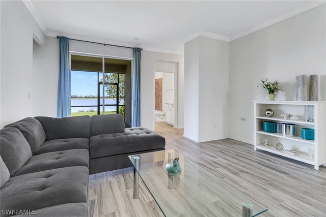 living room with light hardwood / wood-style flooring and crown molding