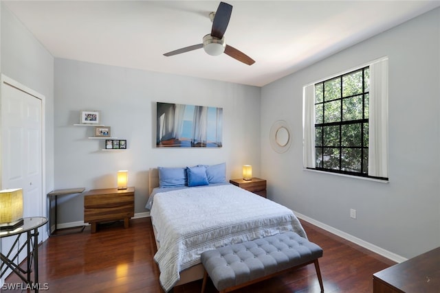 bedroom featuring dark hardwood / wood-style floors and ceiling fan