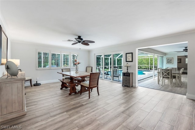 dining space with ceiling fan, light wood-type flooring, and ornamental molding